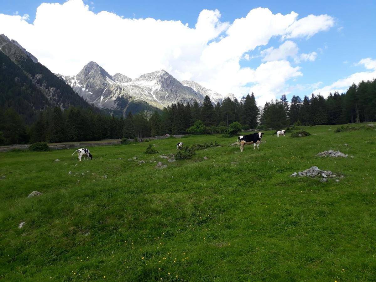 Unterreinischhof Villa Anterselva di Mezzo Luaran gambar