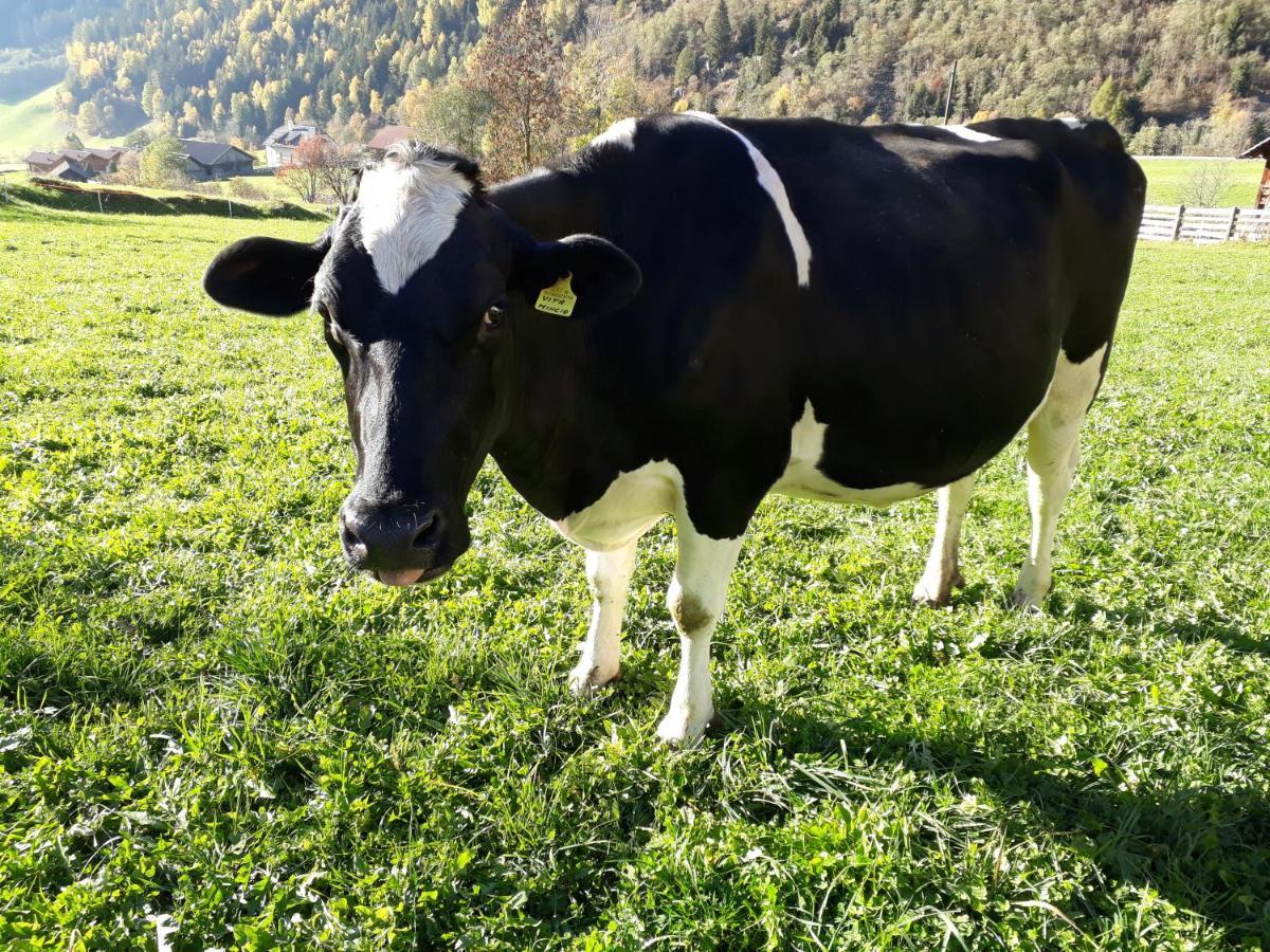 Unterreinischhof Villa Anterselva di Mezzo Luaran gambar