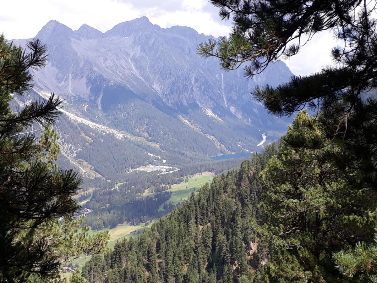 Unterreinischhof Villa Anterselva di Mezzo Luaran gambar