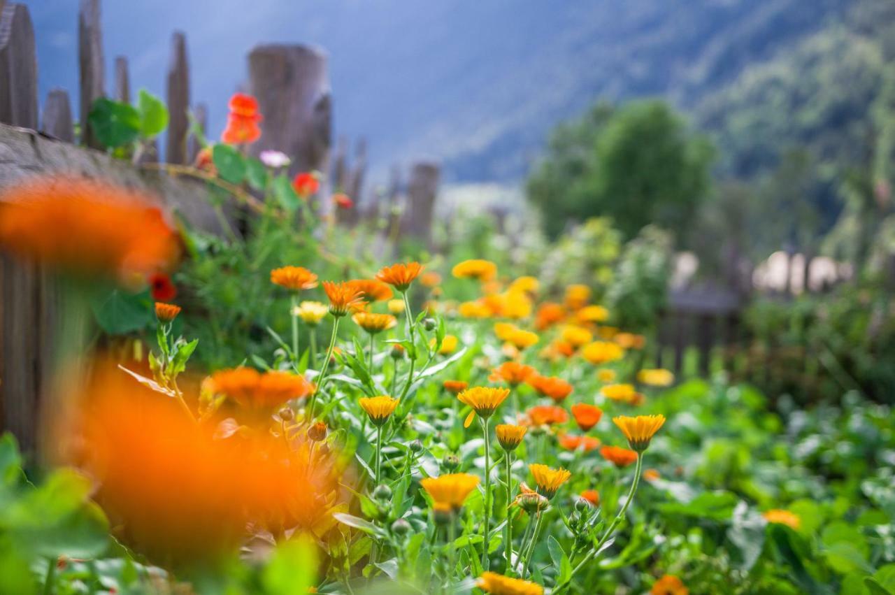 Unterreinischhof Villa Anterselva di Mezzo Luaran gambar