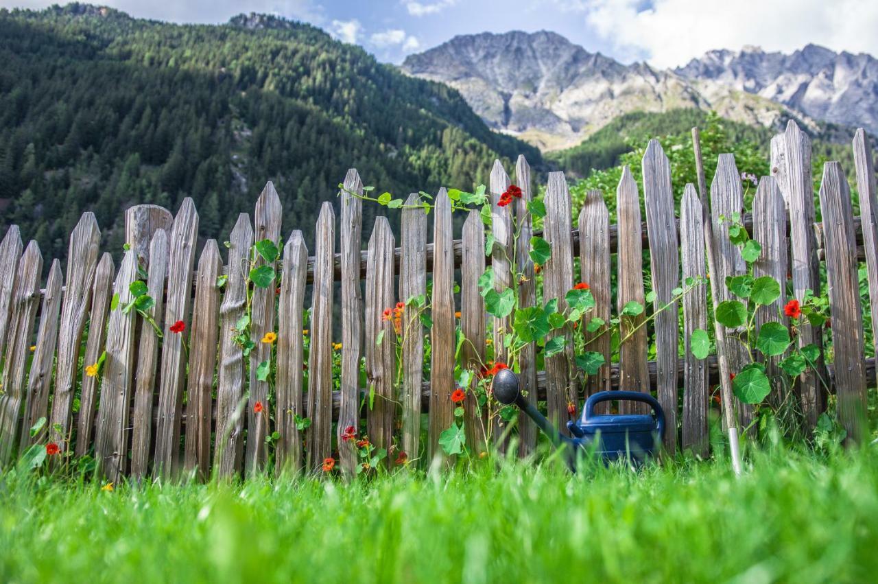 Unterreinischhof Villa Anterselva di Mezzo Luaran gambar